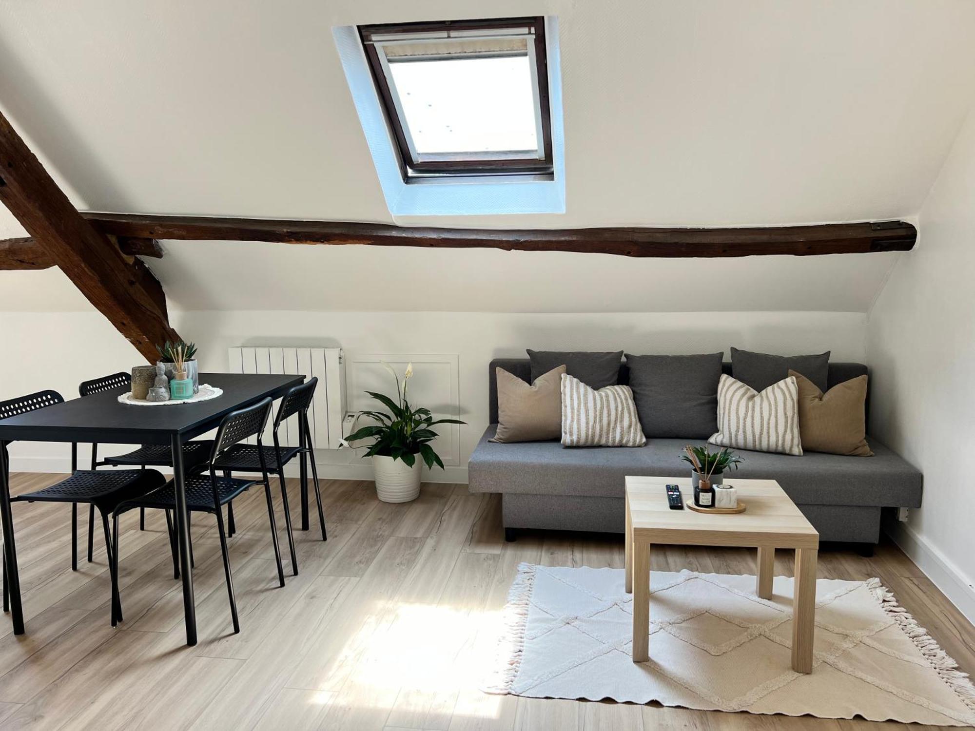 Appart Asterix Cdg Parc Expo Paris Chantilly Apartment Plailly Bagian luar foto