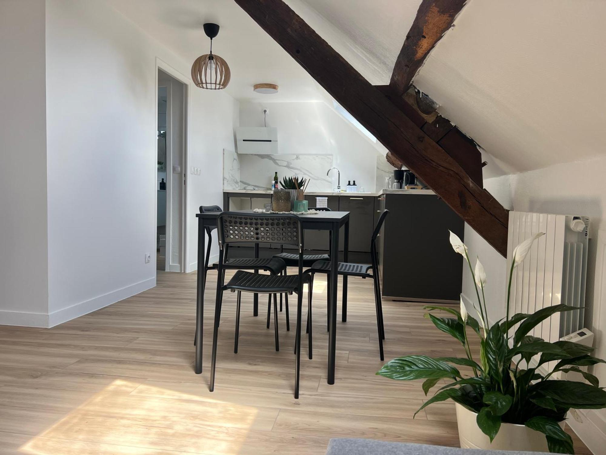 Appart Asterix Cdg Parc Expo Paris Chantilly Apartment Plailly Bagian luar foto